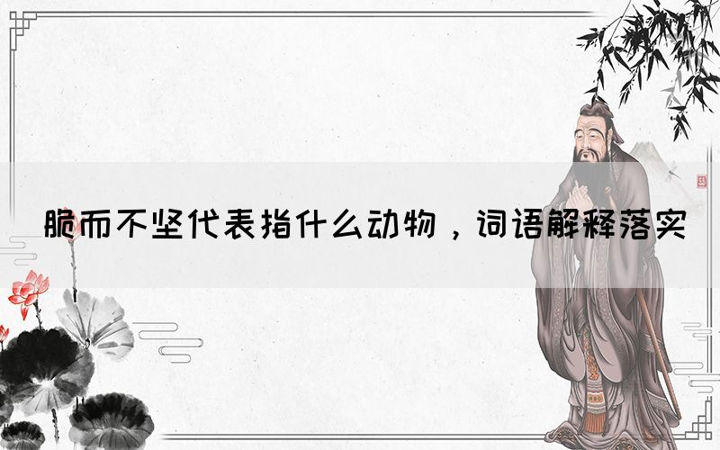 脆而不堅代表指什么動物，詞語解釋落實