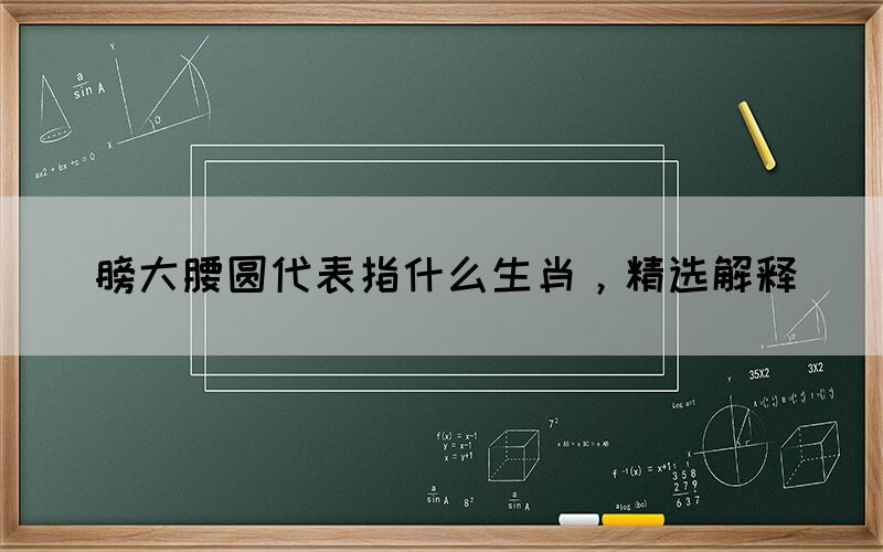 膀大腰圓代表指什么生肖，精選解釋