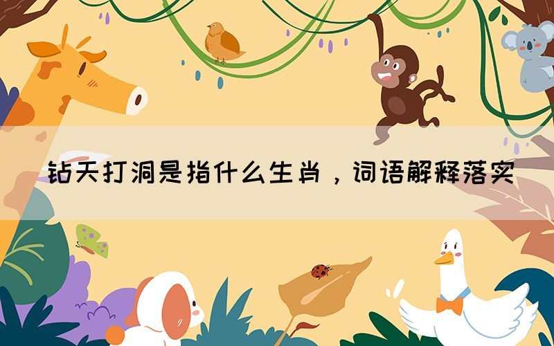 鉆天打洞是指什么生肖，詞語(yǔ)解釋落實(shí)