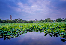 昆明市區(qū)有什么好玩的 昆明市內(nèi)經(jīng)典一日游